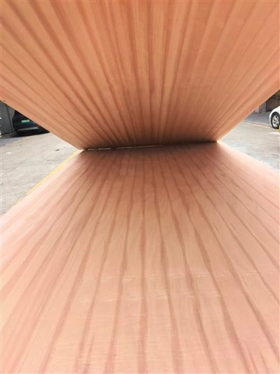 Papan Gergaji Okoume Asli